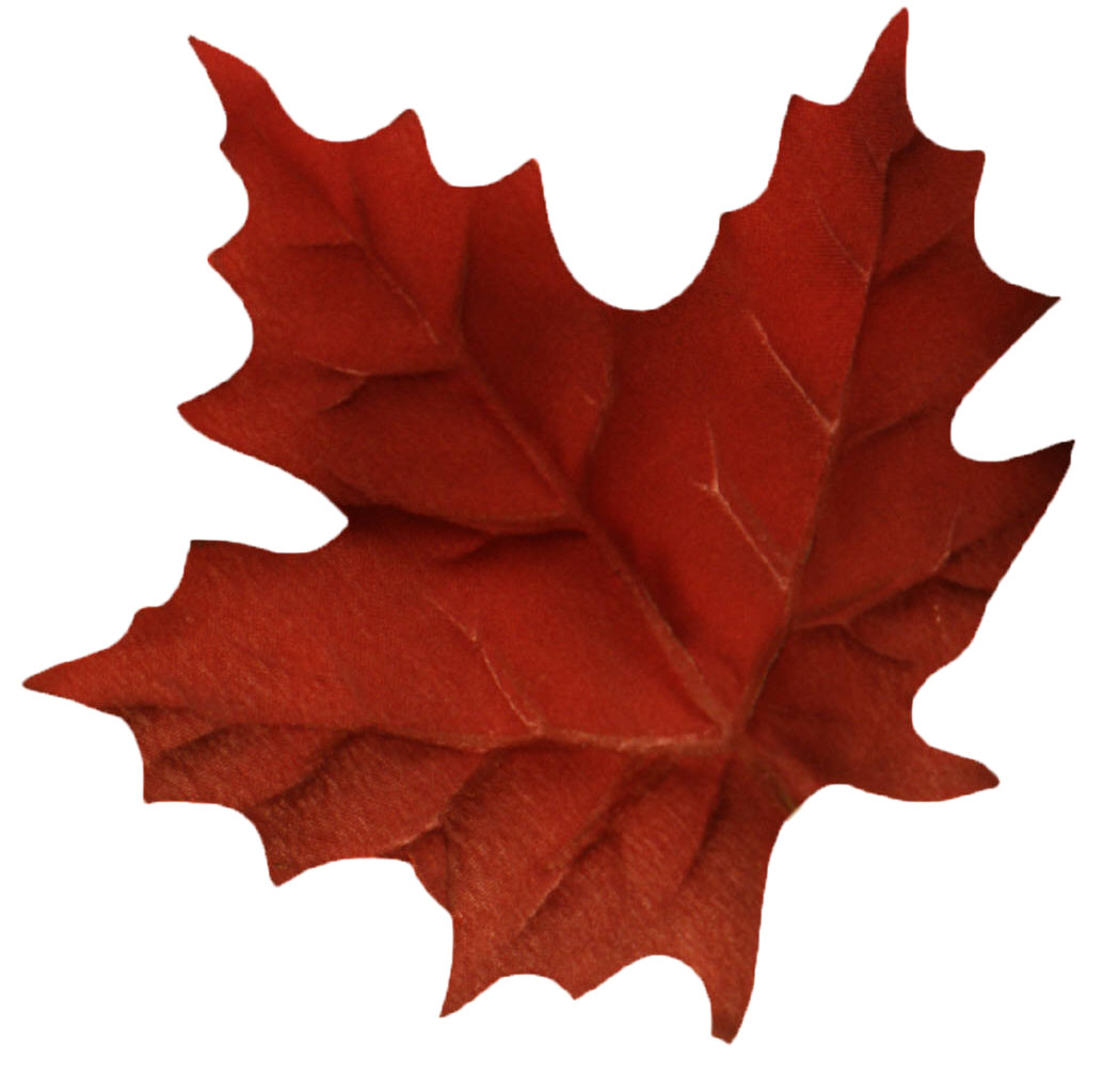 leaf symbol